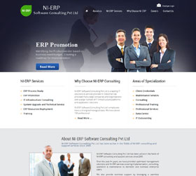 NI-ERP Software Consulting Pvt Ltd