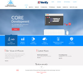 Professional Vision Technologies