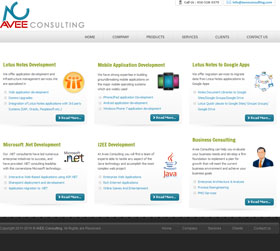 Avee Consulting